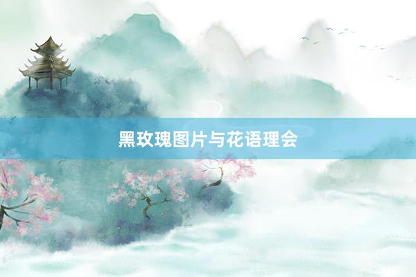 黑玫瑰图片与花语理会